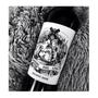 Imagem de Vinho Argentino Importado Cordero con Piel de Lobo Blend Malbec 750ml - Mosquita Muerta