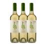 Imagem de Vinho Branco Chac Chac Sauvignon Blanc 750ml KIT C/ 3