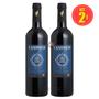 Imagem de Vinho Canônico Tinto Salton 750ml Kit 2 Unidades!