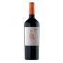 Imagem de Vinho  chac chac cab franc 750ml - MARCA