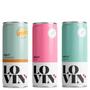 Imagem de Vinho Espumante Lata Lovin Brut 269ml Sabores