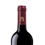 Imagem de Vinho fino tinto seco solar viejo crianza 750ml