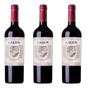 Imagem de Vinho Garzon Reserva Cabernet Franc 750 Ml Kit Com 03 Un