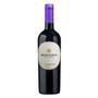 Imagem de Vinho Montgras Reserva Cabernet Franc 750ml