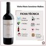 Imagem de Vinho Nieto Senetiner Malbec - 750ml