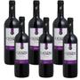 Imagem de Vinho Salton Chalise Tinto Seco 6 X750ml