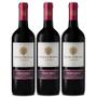 Imagem de Vinho Santa Helena Reservado Cabernet - Merlot 750ml 03 Unid