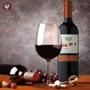 Imagem de Vinho Tinto 1551 Carmenere Cono Sur - 750ml