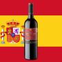 Imagem de Vinho Tinto Espanhol Castillo San Simón 750ml