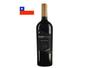 Imagem de Vinho Tinto Paso De Los Andes Cabernet Sauvignon 750Ml