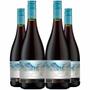 Imagem de Vinho Tinto Queulat Gran Reserva Pinot Noir 750ml Kit 4 Garrafas