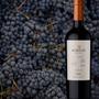 Imagem de Vinho Tinto Seco Argentino Norton Select Malbec 750ml