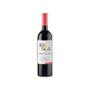 Imagem de Vinho Tinto Seco Rio Sol Cabernet Sauvignon 750ml Brasil