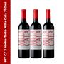 Imagem de Vinho Tinto Seco Vik Milla Cala 750ml KIT C/3