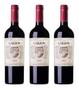 Imagem de Vinho Uruguaio Garzon Reserva Tannat 750Ml Kit Com 03 Un