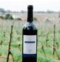 Imagem de Vinho Uruguaio Toscanini Classic Tannat - 750ml