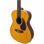 Imagem de Violão AÇO Eletroacústico Giannini Performance PLUS GAD PLUS EQ NG