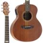 Imagem de Violão Elétrico Mini Artístico Aço Sm200 Mgs Fosco Strinberg
