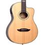 Imagem de Violao giannini gnf-3 ceq ns e/a nylon cutaway natural satin