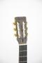 Imagem de Violão Strinberg Forest FS 3 C TOS EL-AC Clássico
