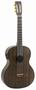 Imagem de Violão Strinberg Forest FS 3 C TOS EL-AC Clássico