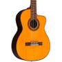 Imagem de Violao Takamine Gc5Ce N Tp4T Nylon Natural