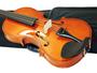 Imagem de Violino Barth Violins 4/4 NT com Estojo+ Arco+ Breu- Completo-bk