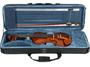 Imagem de Violino Eagle VE144 4/4 Rajado