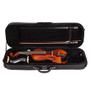 Imagem de Violino Eagle VK644 4/4 com Case -  Arco e Acessorios - Envelhecido