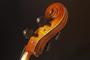 Imagem de Violoncelo Profissional 4/4 Cello Eagle Ce310