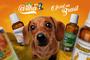 Imagem de Viscum Vet para tratamento de câncer em cães e gatos - homeopático ailha.com