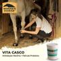 Imagem de Vita Casco Winner Horse - Cera Para Cascos 300g