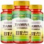 Imagem de Vitamina B1 Tiamina Vegana 60 Cápsulas De 500Mg Kit Com 3