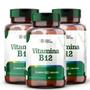 Imagem de Vitamina B12 Com 60 Cápsulas 500Mg - Kit 3 Potes