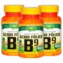 Imagem de Vitamina B9 Ácido Fólico 60 cápsulas de 500mg Kit com 3