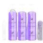 Imagem de Vloss Europa Terapia Capilar Shampoo Mouse Primer Balm Loção