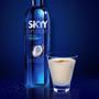 Imagem de Vodka de Coco Skyy Infusions 750ml