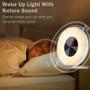 Imagem de Wake Up Sunrise Luz LED Relógio FM Rádio Bedside Night Sound