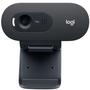 Imagem de Webcam c/ Microfone - USB - Logitech C505E HD - Preta - 960-001372