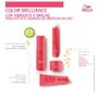 Imagem de Wella Color Brilliance Shampoo 250ml + Condicionador 200ml + Óleo Light 30ml