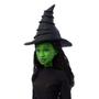 Imagem de Wicked Boneca Elphaba com Canções - Mattel