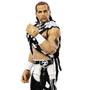 Imagem de WWE Shawn Michaels SummerSlam Elite Collection Action Figure Dominik Mysterio Build-A-Figure Parts, Presente Colecionável para Idades de 8 Anos e Mais