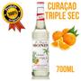 Imagem de Xarope de triple sec monin 700 ml