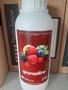 Imagem de Xarope Frutas Vermelhas 1.4 kg - Flavor House
