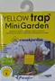 Imagem de Yellow trap Mini Garden com 5 armadilhas adesivas