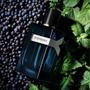 Imagem de Yves Saint Laurent Y Intense EDP Perfume Masculino 60ml
