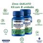 Imagem de Zinco Quelado Concentrado 29,59mg 60 caps Catarinense Pharma Kit 2 un