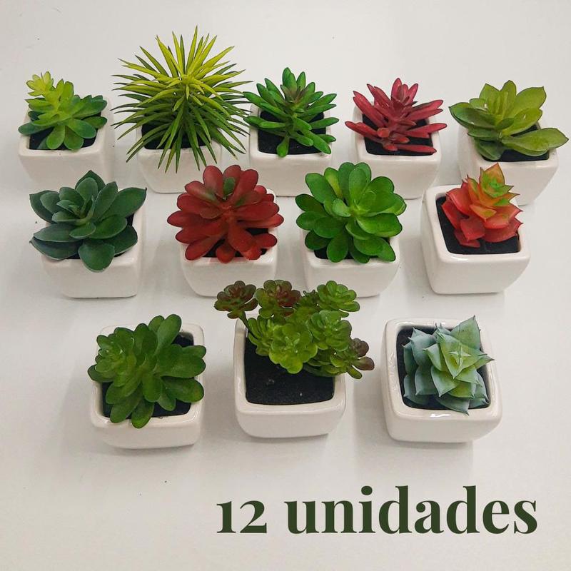 12 Vasinhos Suculenta Cerâmica Branca Decoração Pequeno Fofo - Clink ...