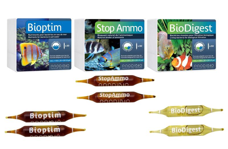 6 ampolas Prodibio Stop Ammo Biodigest Bioptim Acelerador Biológico ...