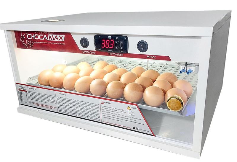Chocadeira 100% Automática Digital 60 a 70 Ovos Galinha/ 110V ...